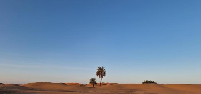 Kasbah Hotel Panorama Merzouga Exterior foto